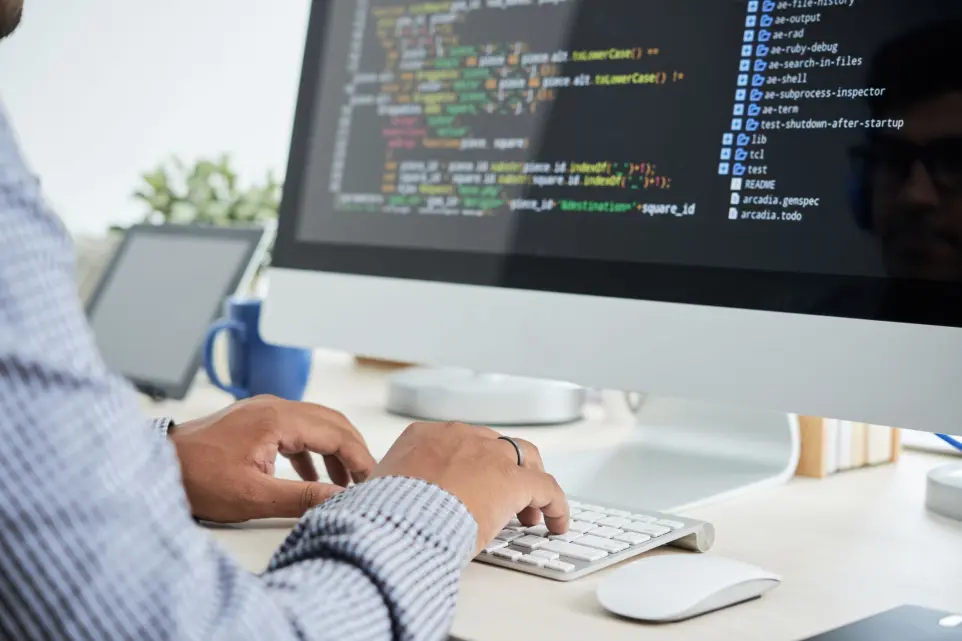 custom software development